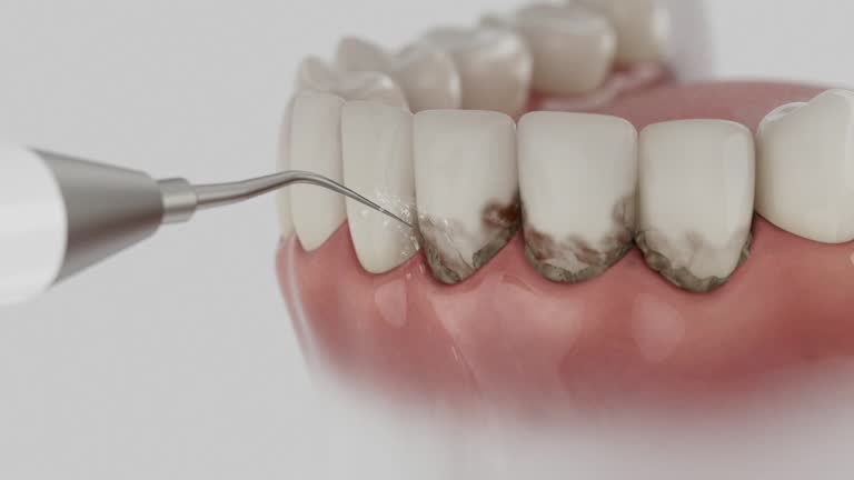 Reliable Dental contractor in Clay County County, GA by Dentist Open Now